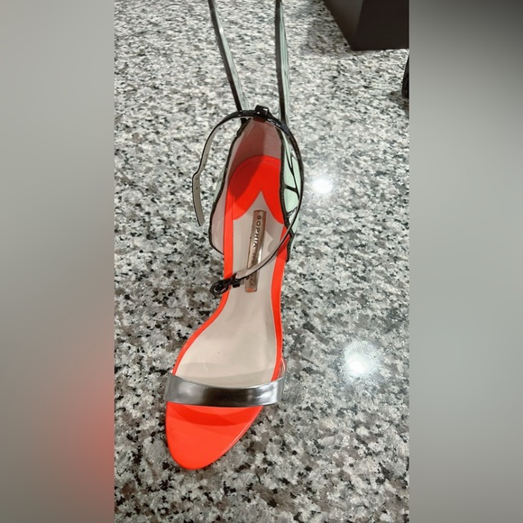 The iconic Beautiful Butterfly - Picture 9 of 10